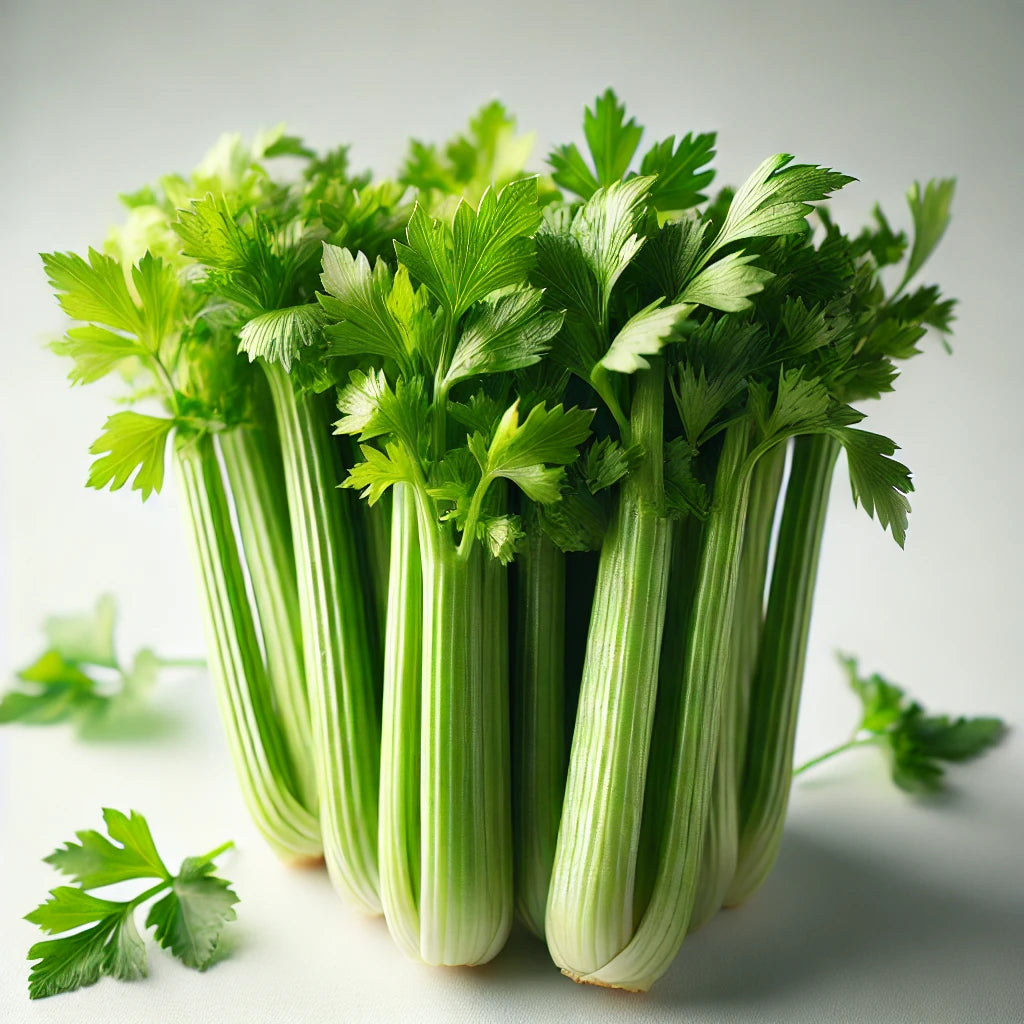 Celery