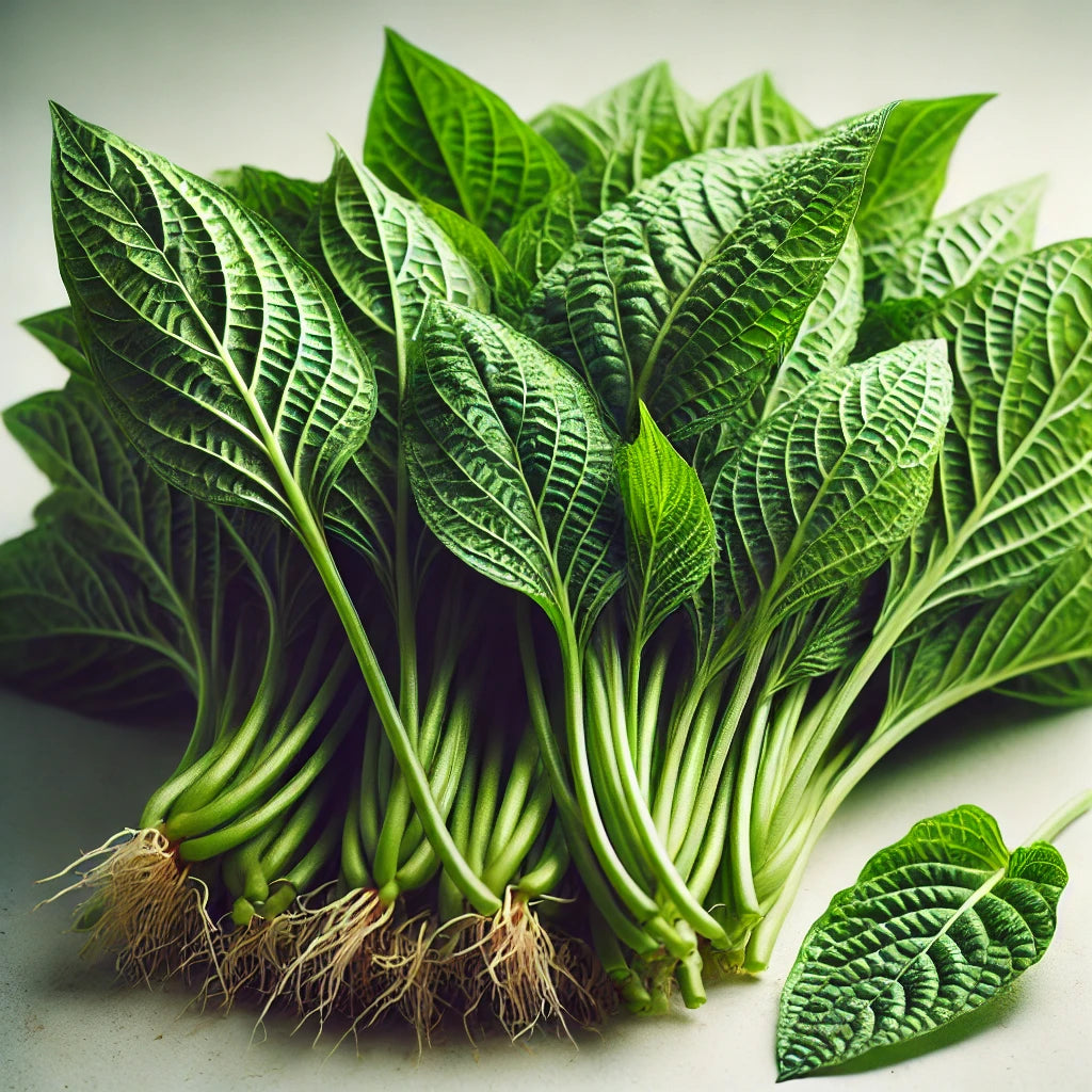 Green Amaranthus (Root Cut)