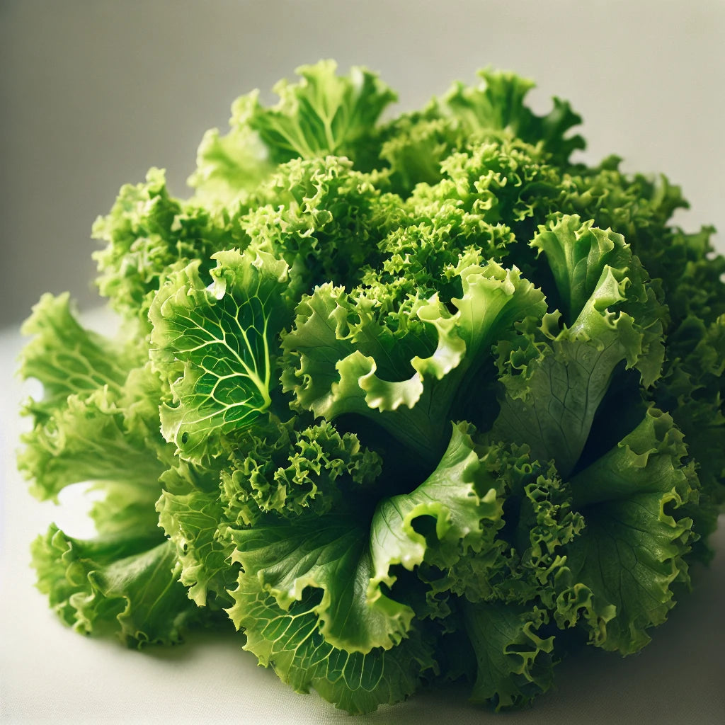 Leafy Lettuce