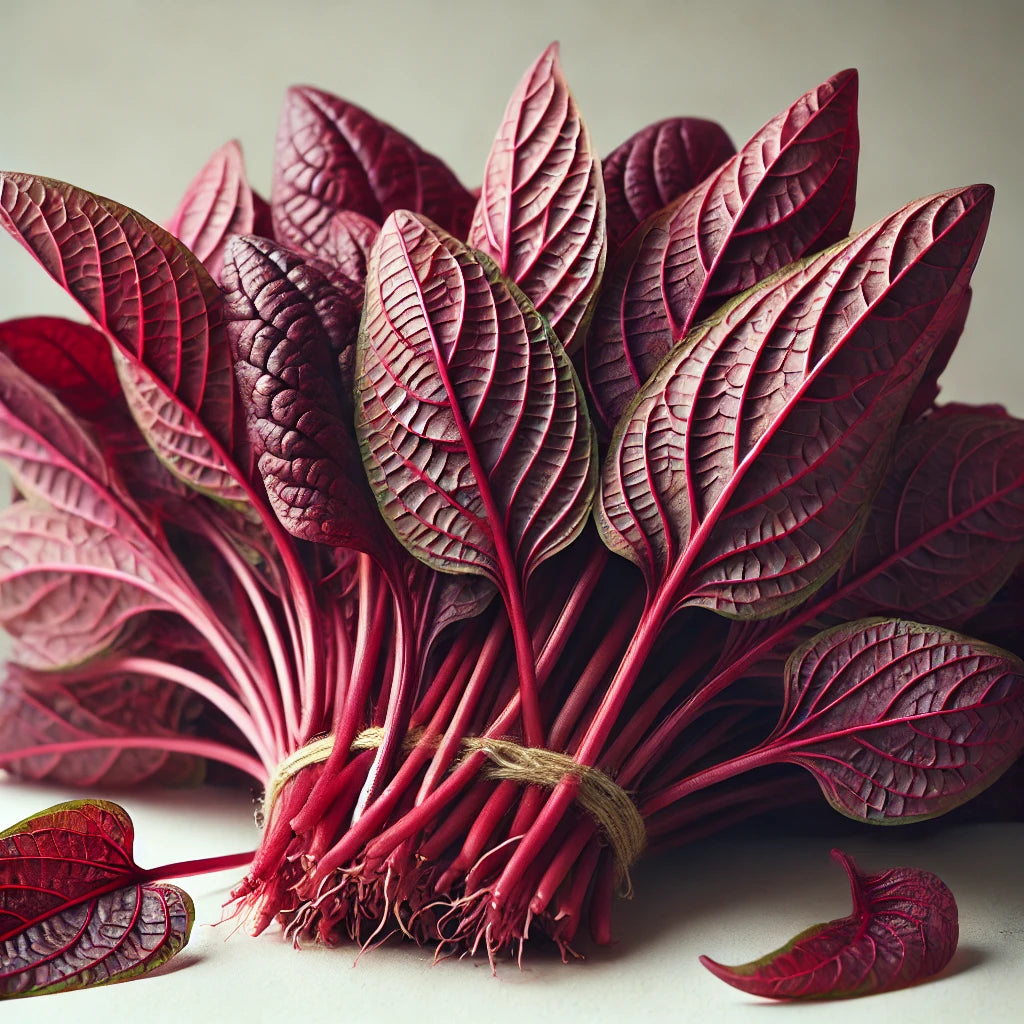 Red Amaranthus (Root Cut)