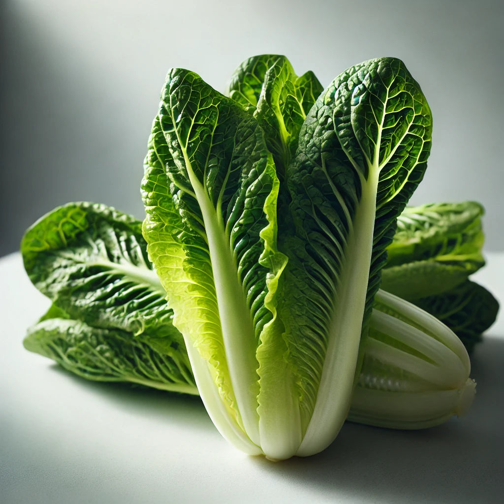 Romaine Lettuce