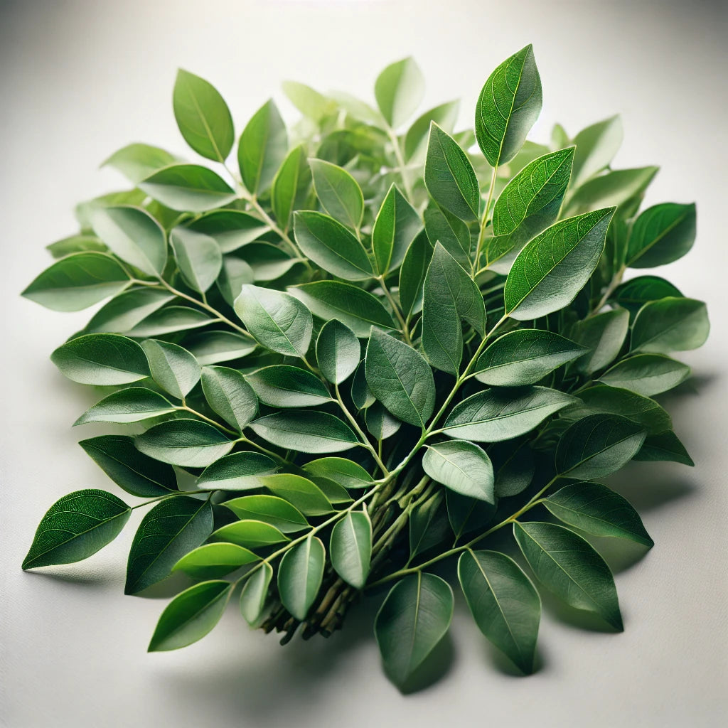 Curry Leaves