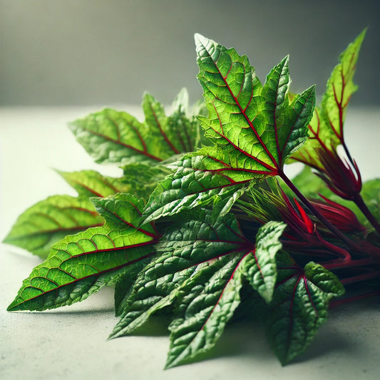 Gongura Leaves