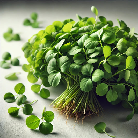 Methi – Root Cut
