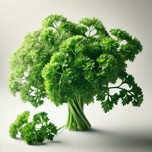 Parsley