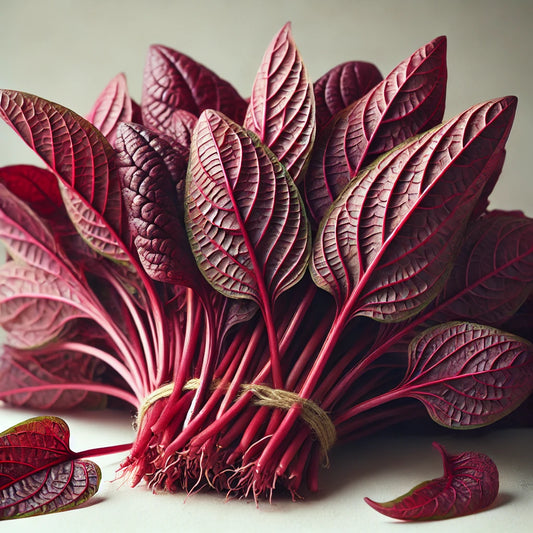 Red Amaranthus (Root Cut)