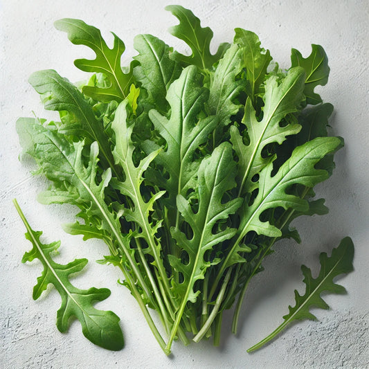 Rocket (Arugula)